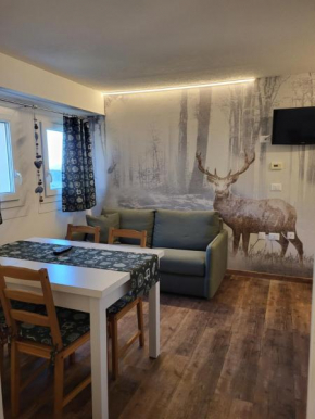 Appartamento San Bartolomeo Passo Del Tonale